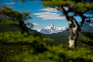 506999595_10230983397502837_8805154553739402160_n