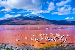 laguna colorada